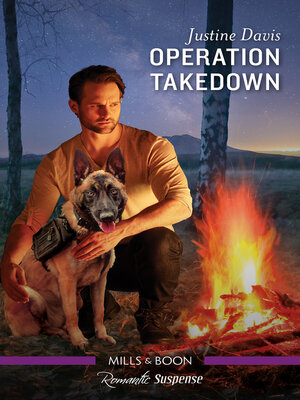 cover image of Operation Takedown